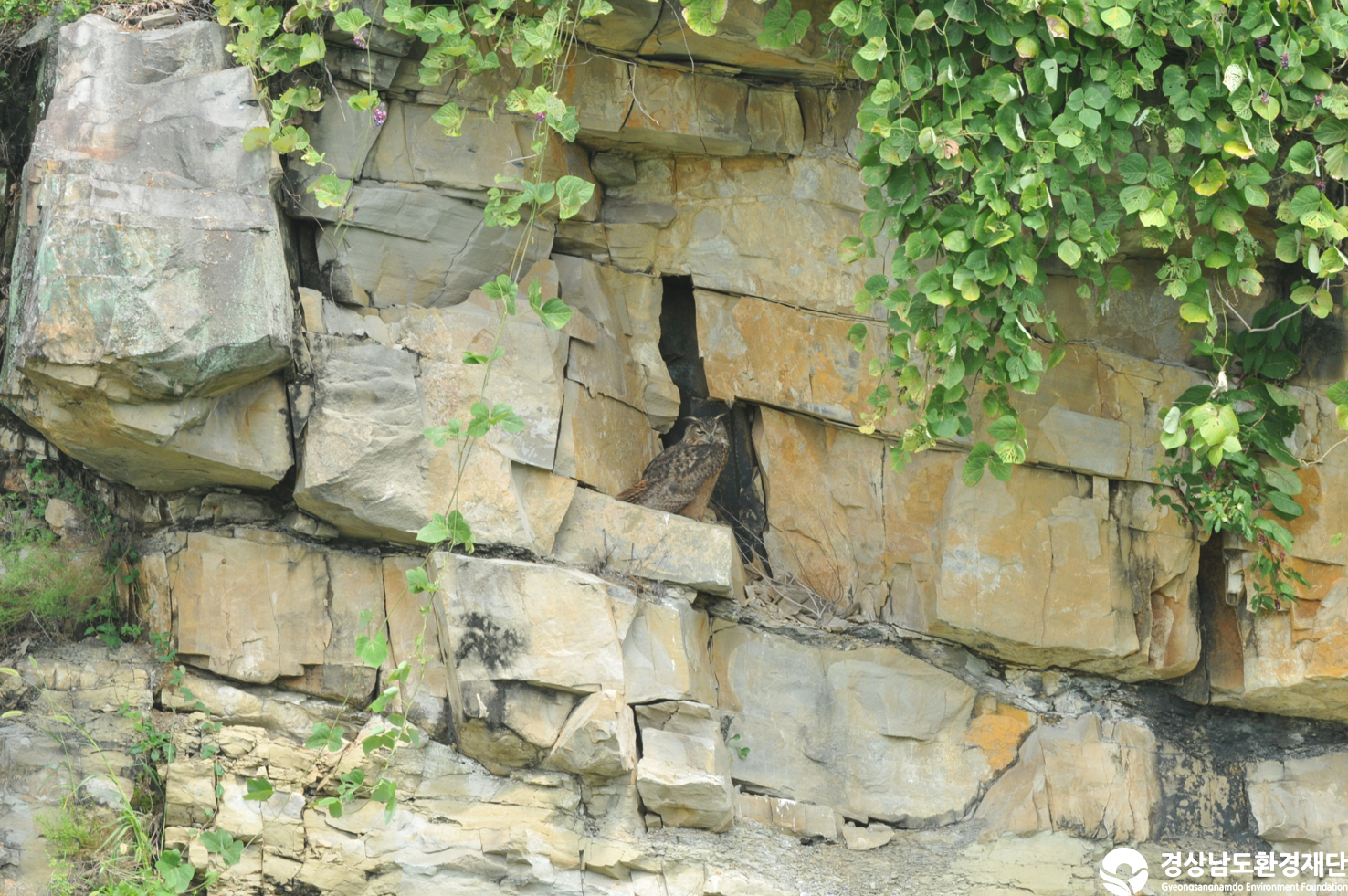 [섬진강하구] 습지 생태계 변화 조사-2025. 9.