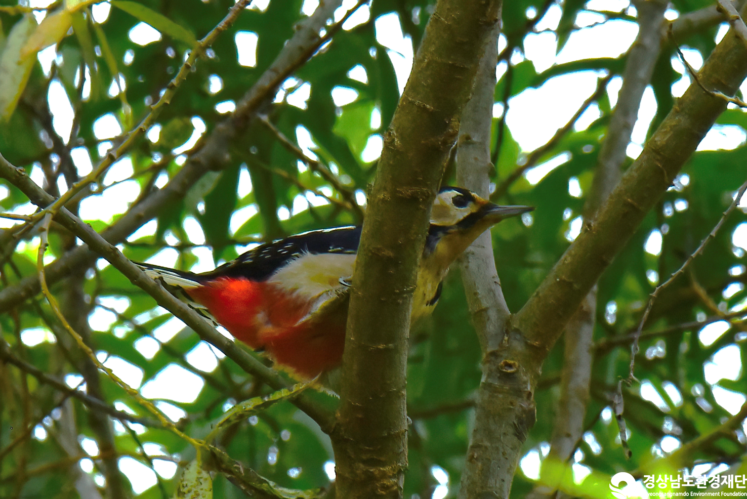 [정양늪] 습지 생태계 변화 조사-2025. 9.