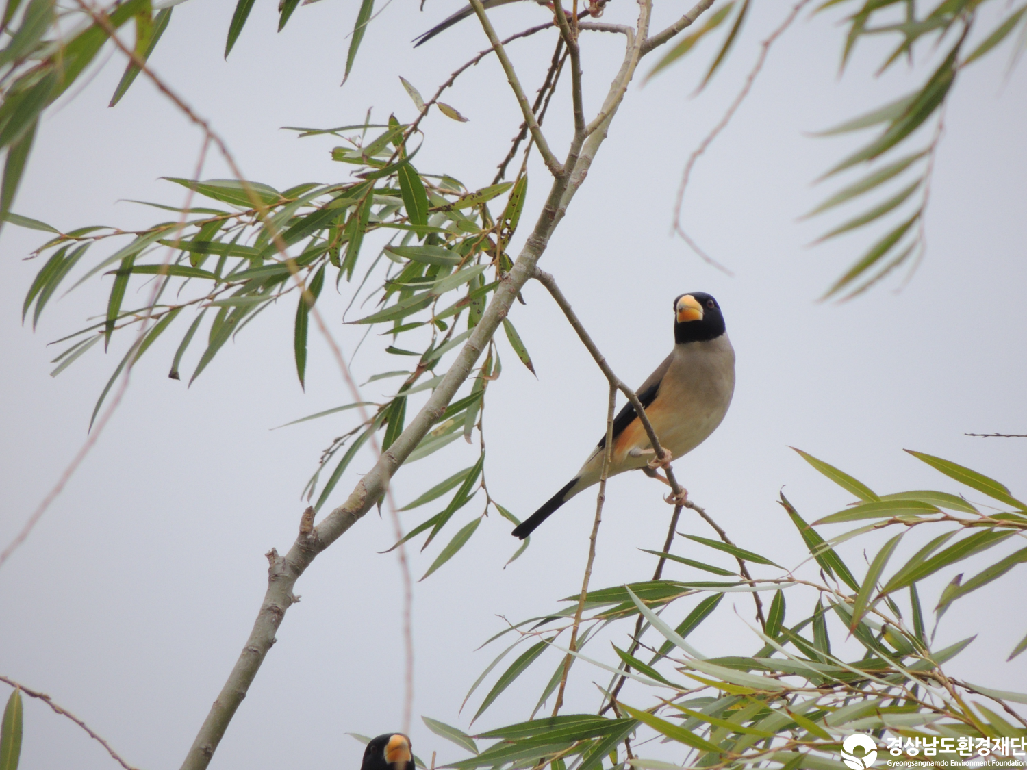 [주남저수지] 습지 생태계 변화 조사-2025. 11.