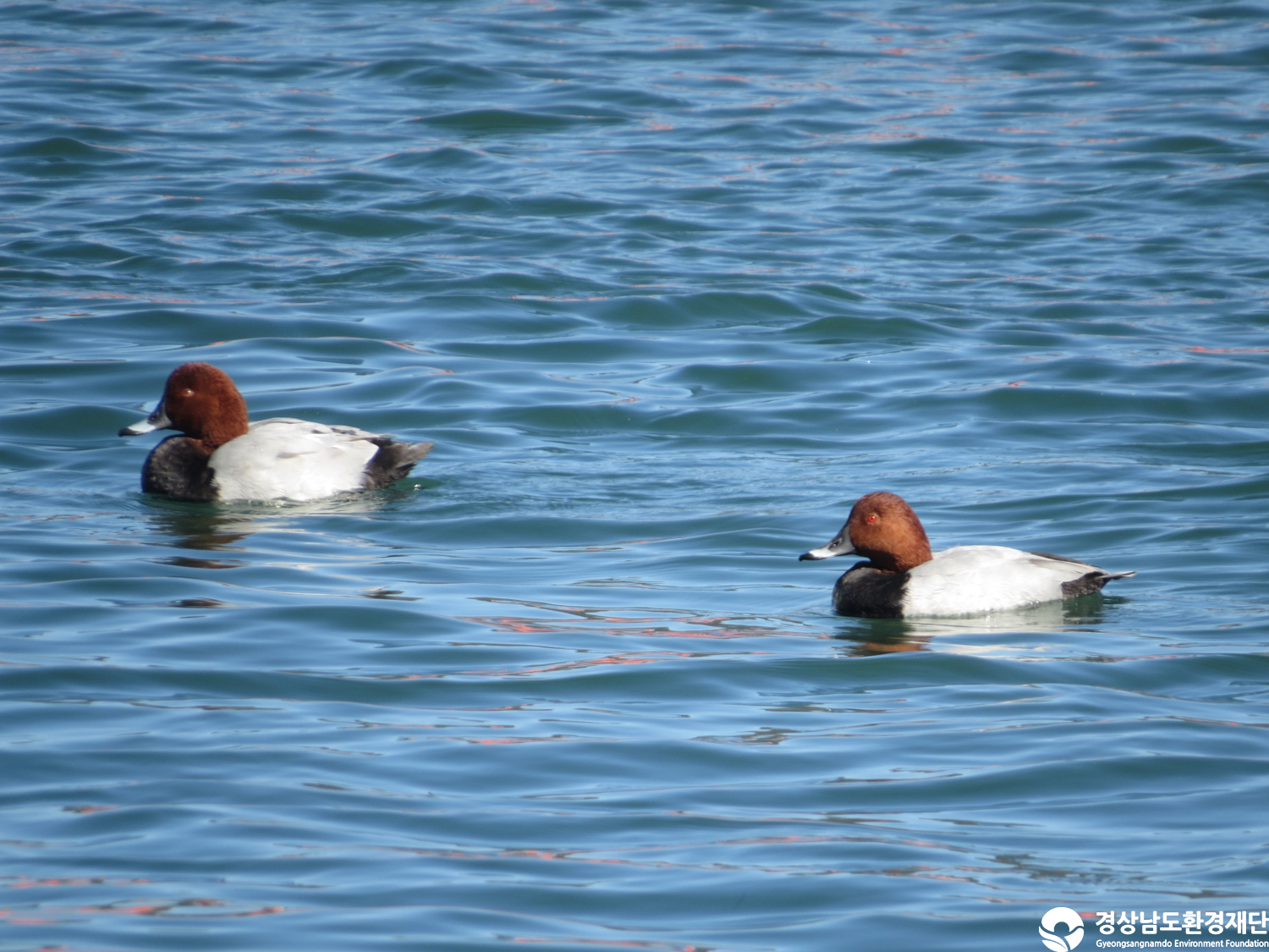 [봉암갯벌] 습지 생태계 변화 조사-2025. 11.