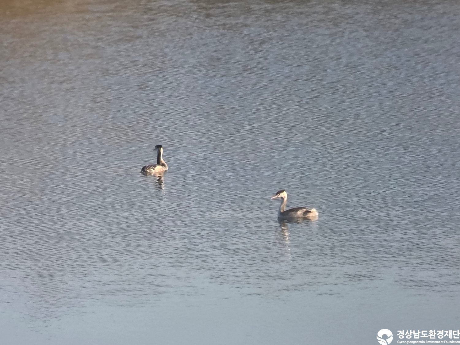 [악양습지/질날늪/평기늪] 습지 생태계 변화 조사-2025. 11.