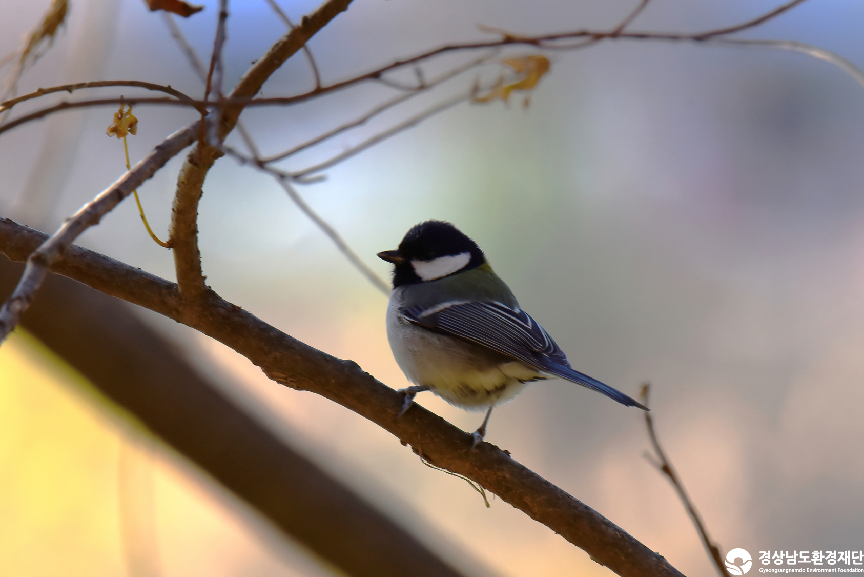 [정양늪] 습지 생태계 변화 조사-2025. 12.