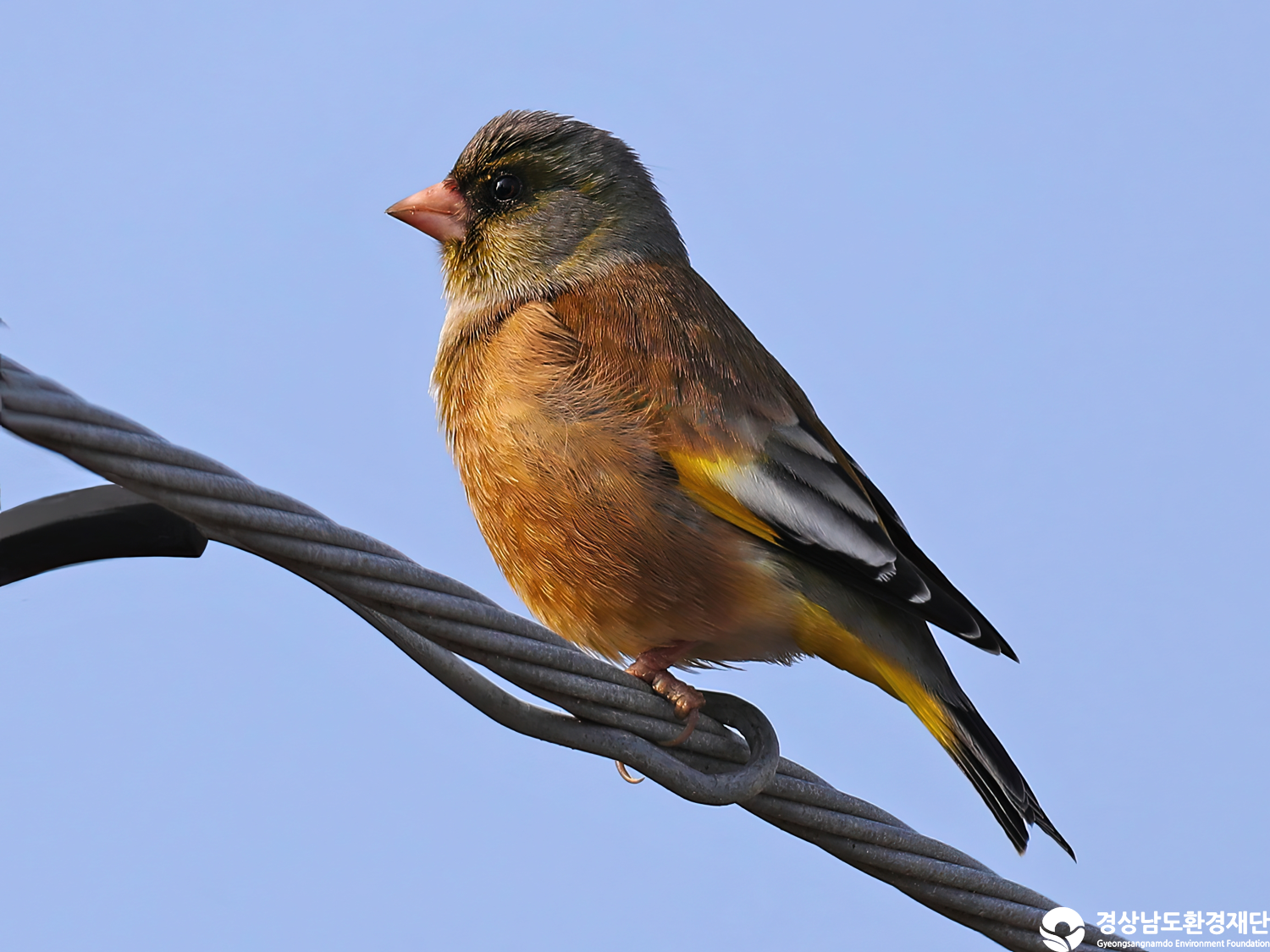 [남해강진만] 습지 생태계 변화 조사-2025. 12.