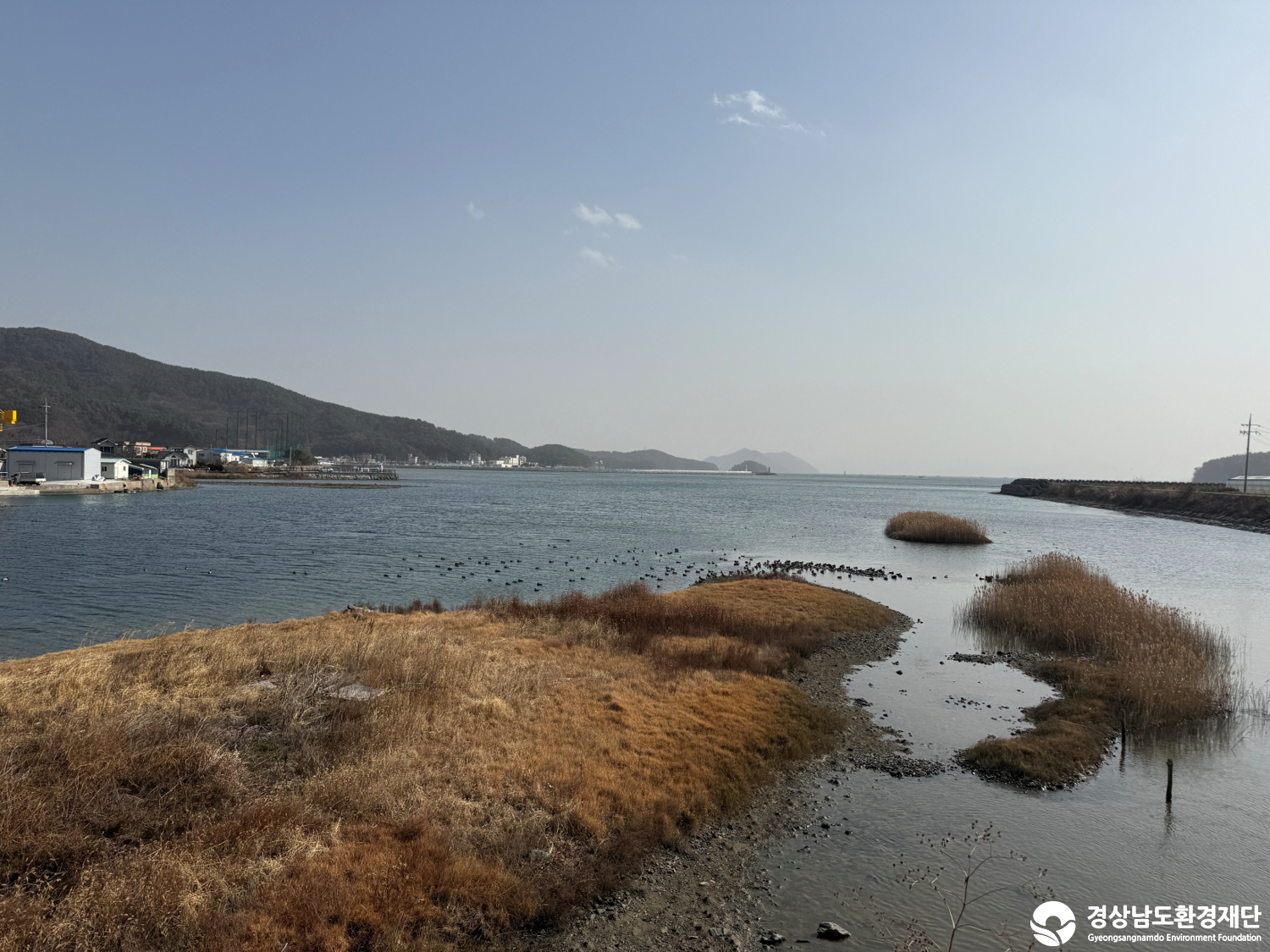 [진동만/창포만] 습지 생태계 변화 조사-2026. 1.