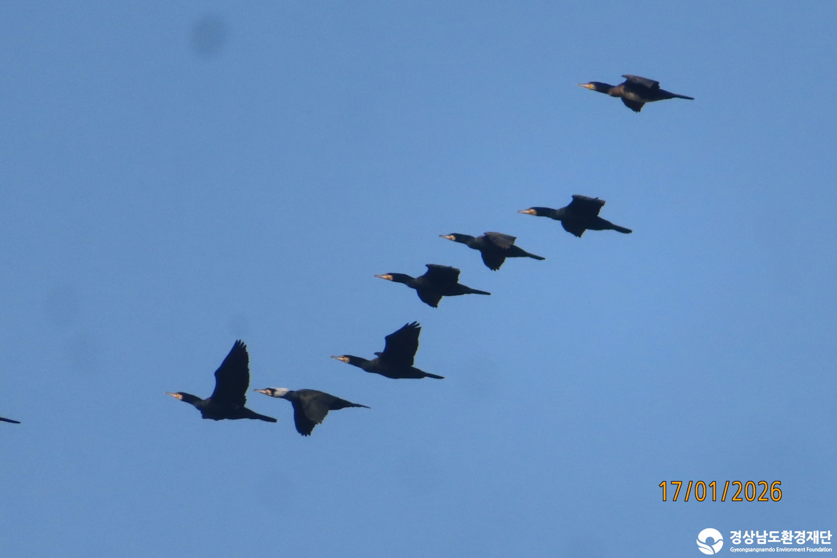 [섬진강하구] 습지 생태계 변화 조사-2026. 1.