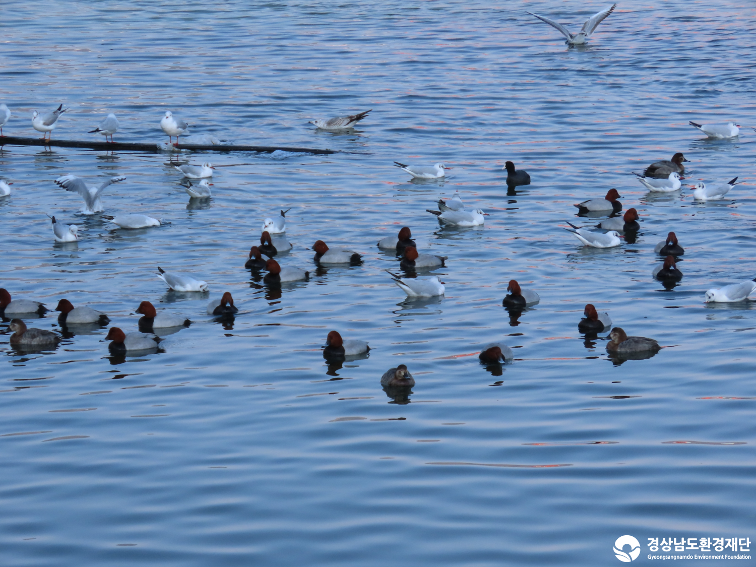 [봉암갯벌] 습지 생태계 변화 조사-2026. 2.