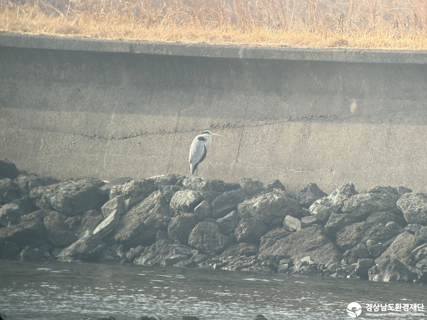 [진동만/창포만] 습지 생태계 변화 조사-2026. 2.