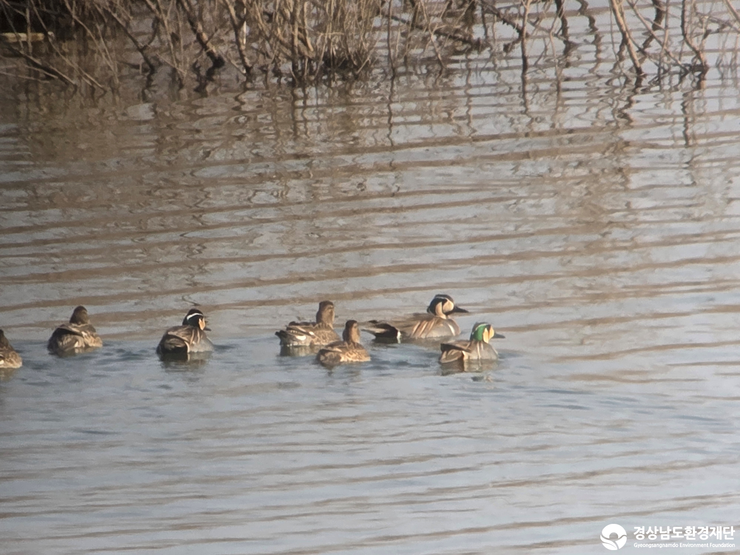 [악양습지/질날늪/평기늪] 습지 생태계 변화 조사-2026. 2.