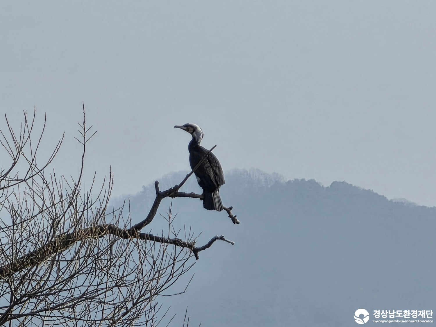 [악양습지/질날늪/평기늪] 습지 생태계 변화 조사-2026. 2.
