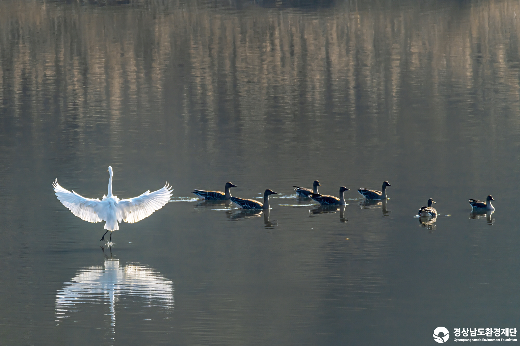 [정양늪] 습지 생태계 변화 조사-2026. 2.