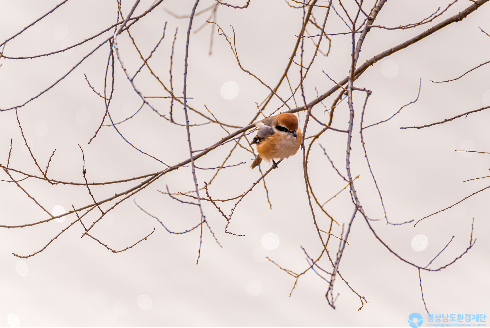 [정양늪] 습지 생태계 변화 조사-2026. 2.
