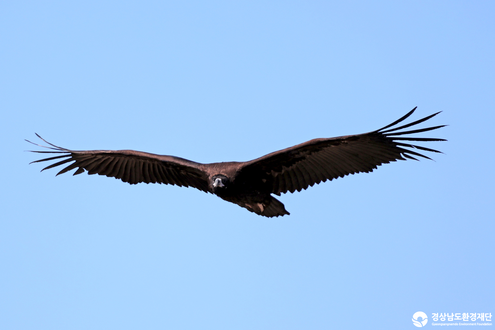 [남해강진만] 습지 생태계 변화 조사-2026. 2.