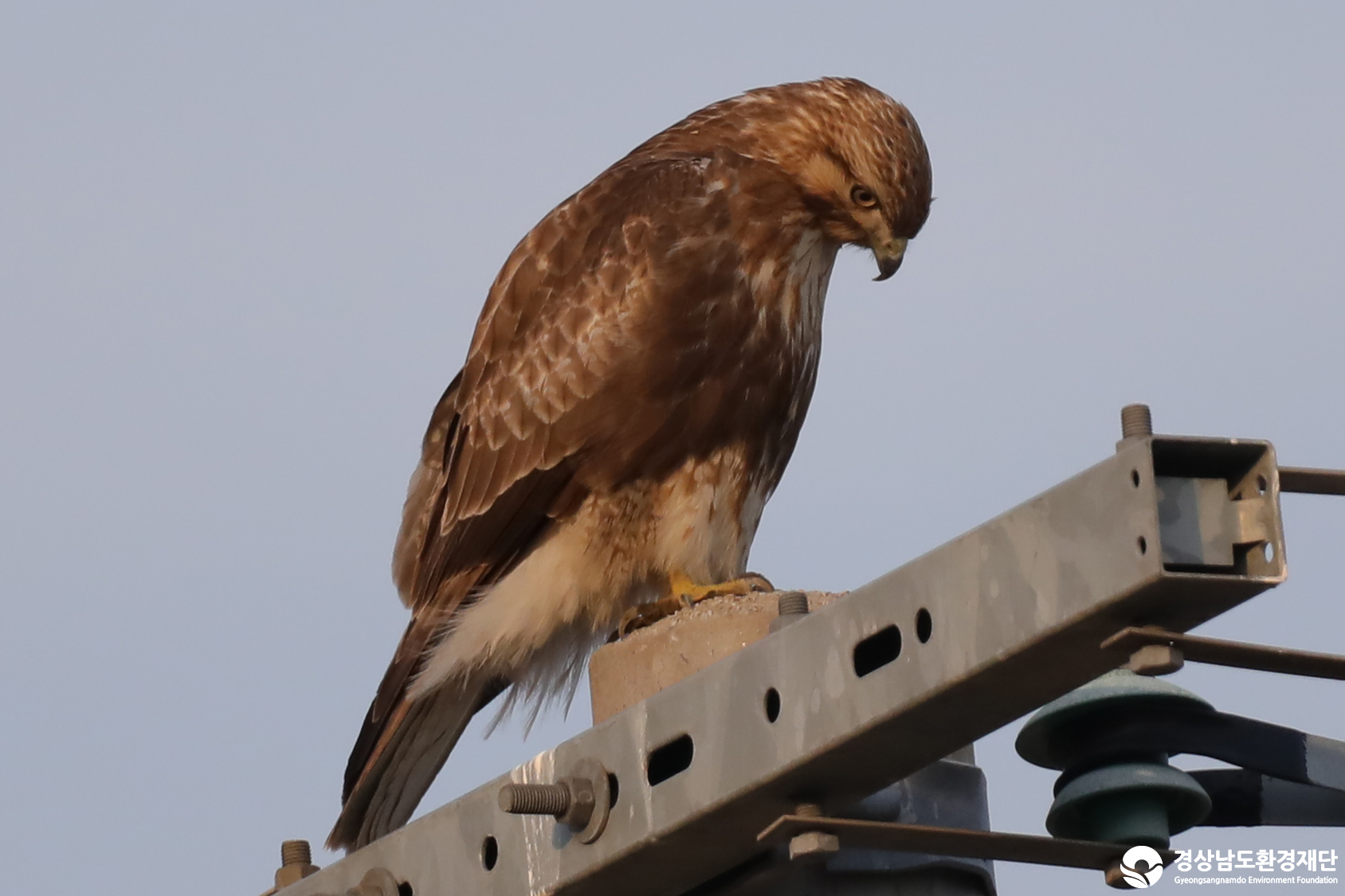 [남해강진만] 습지 생태계 변화 조사-2026. 2.